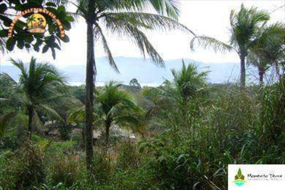 Terreno, 3650 m² - Foto 2