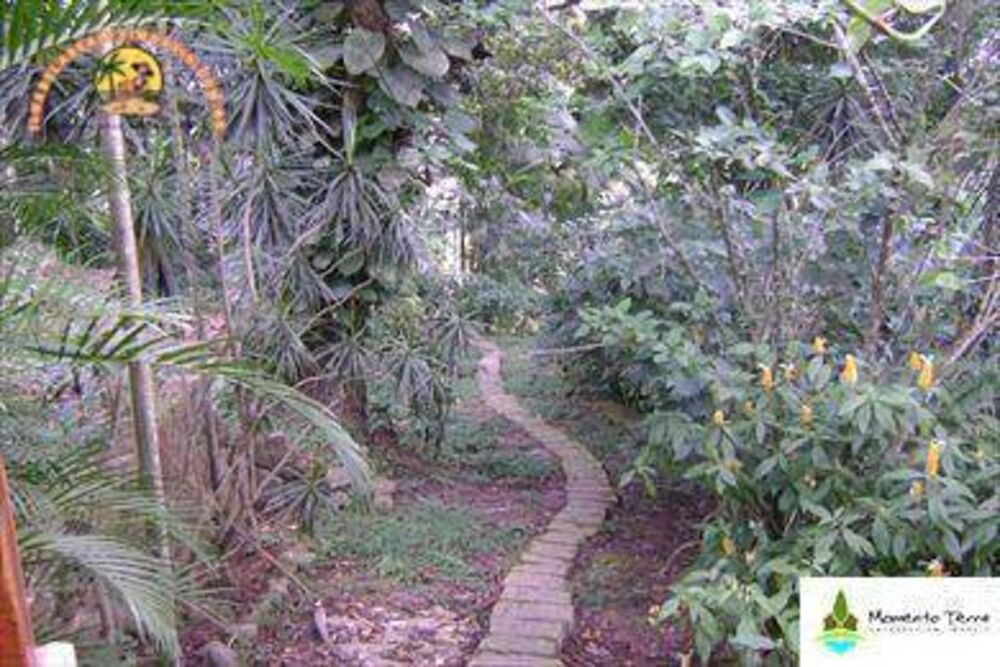 Terreno, 3650 m² - Foto 1