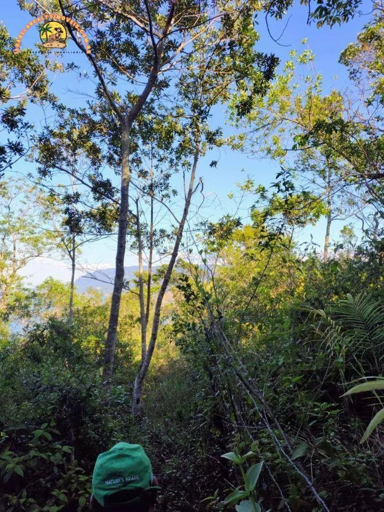 Terreno, 3 hectares - Foto 4