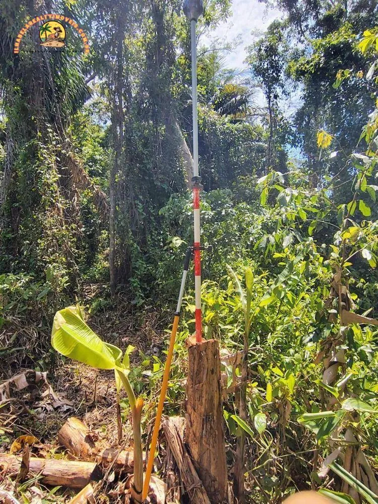 Terreno, 3 hectares - Foto 6
