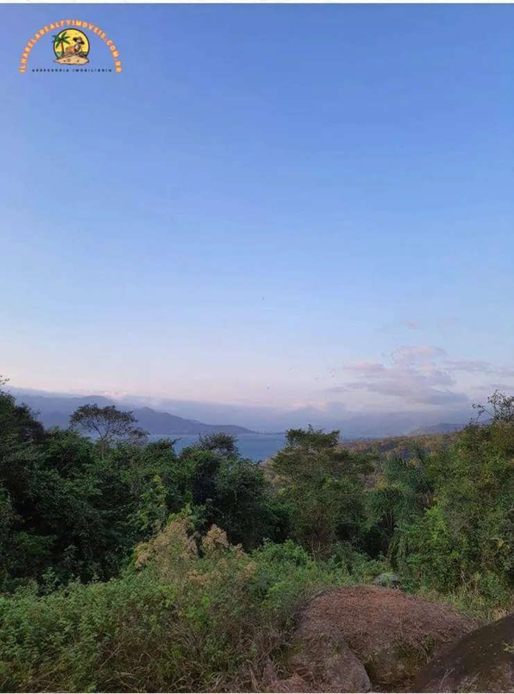 Terreno, 3 hectares - Foto 1