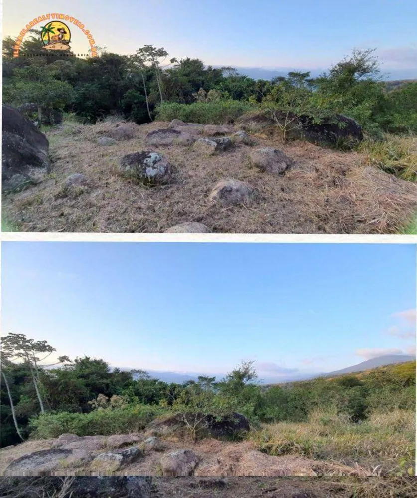 Terreno, 3 hectares - Foto 6