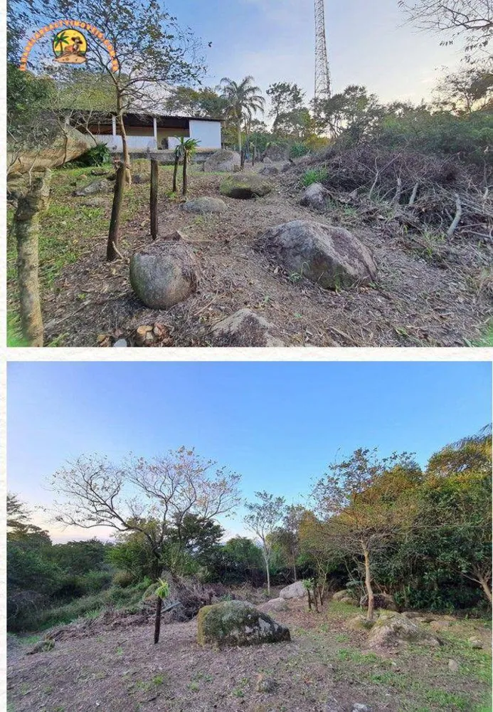 Terreno, 3 hectares - Foto 4