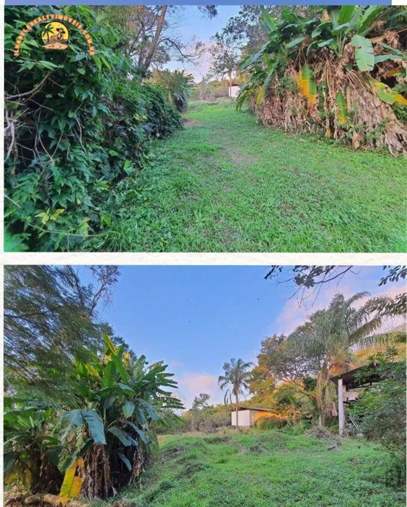 Terreno, 3 hectares - Foto 2