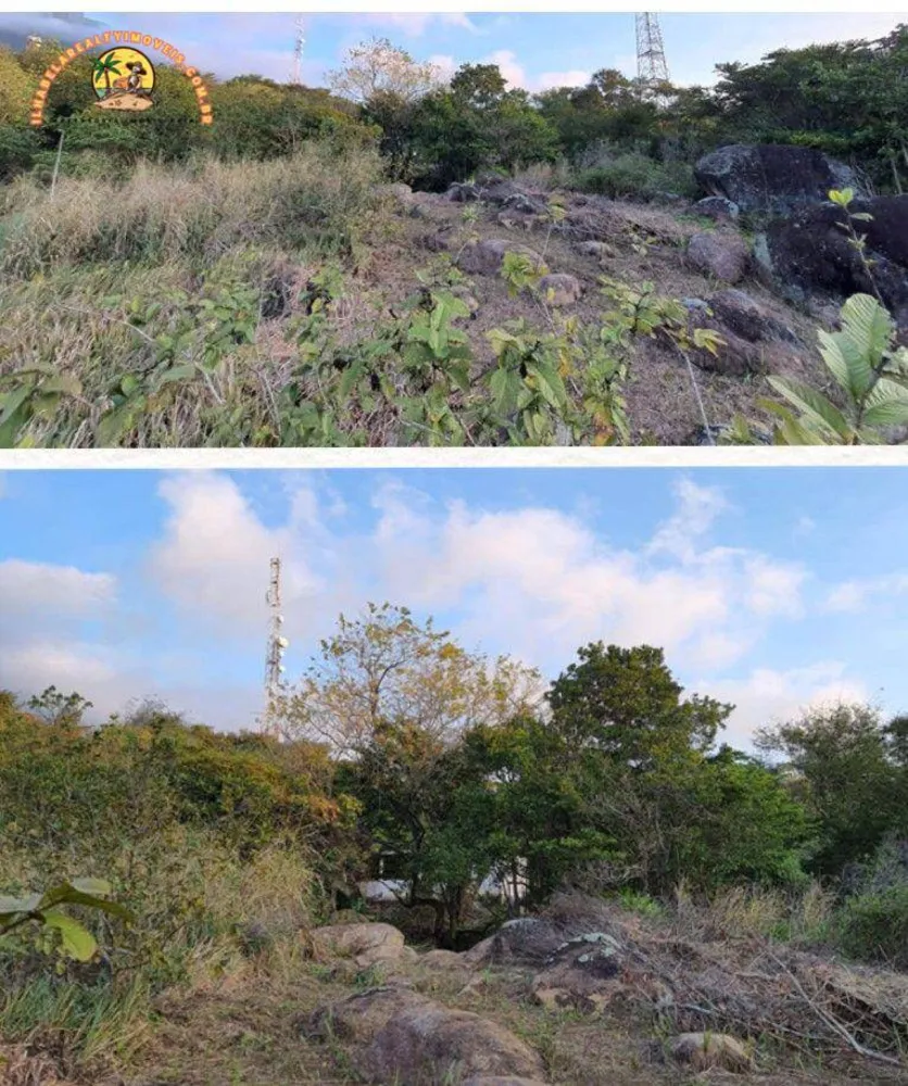 Terreno, 3 hectares - Foto 8