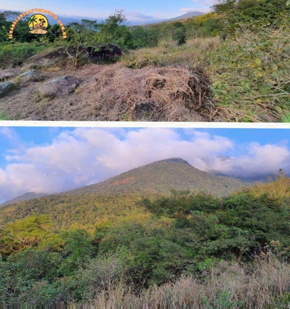 Terreno, 3 hectares - Foto 7