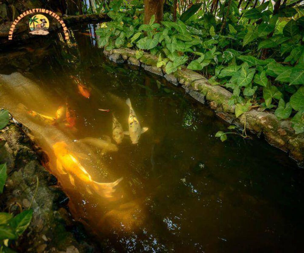 Pousada-Chalé, 26 quartos, 1600 m² - Foto 23