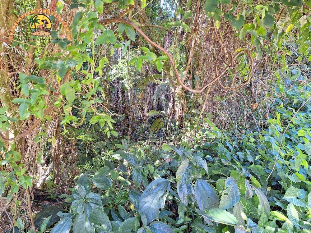 Loteamento e Condomínio, 750 m² - Foto 2