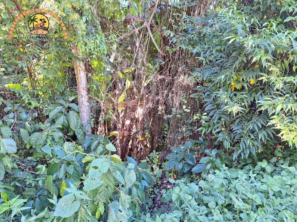 Loteamento e Condomínio, 750 m² - Foto 4