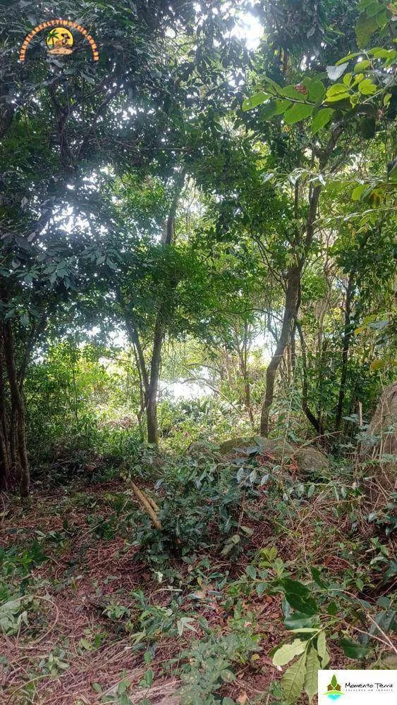 Terreno, 2937 m² - Foto 2