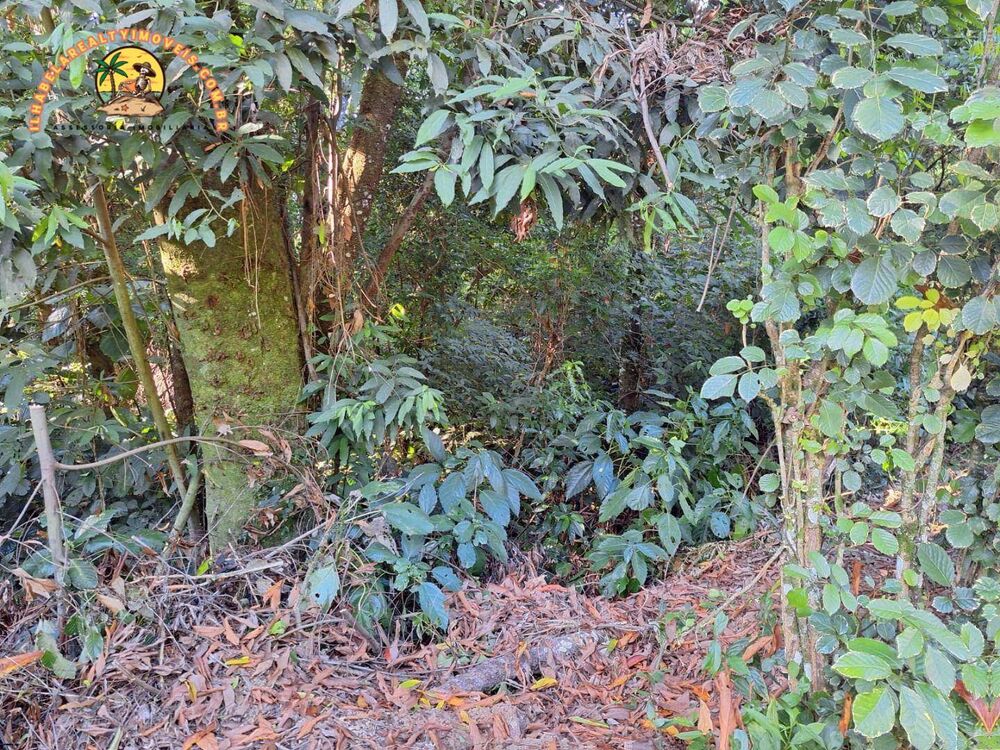 Terreno, 856 m² - Foto 2