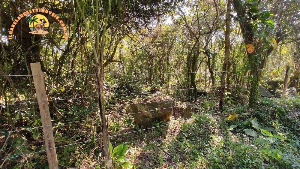 Terreno, 3 hectares - Foto 9