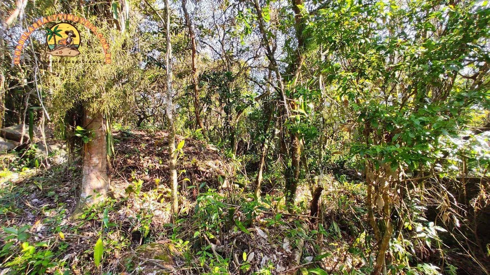 Terreno, 3 hectares - Foto 12