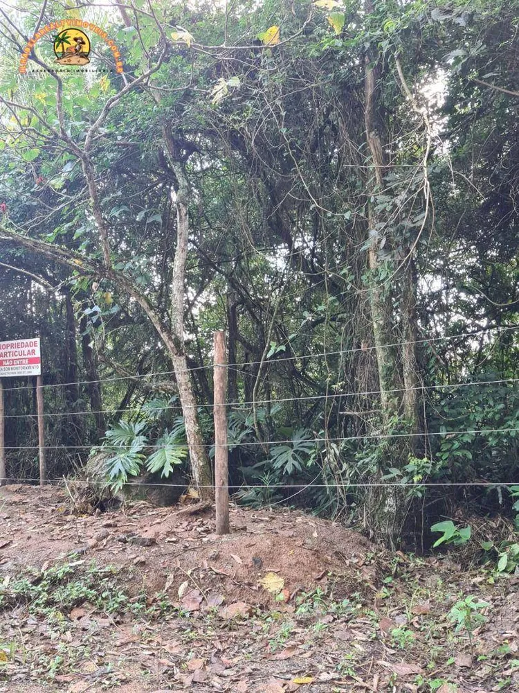 Terreno, 3 hectares - Foto 6
