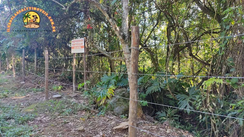 Terreno, 3 hectares - Foto 7