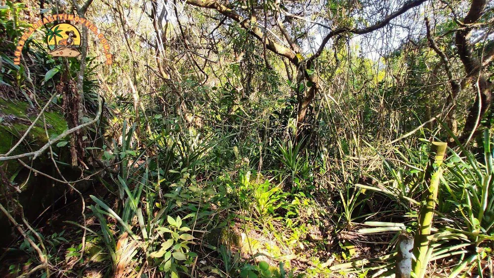 Terreno, 3 hectares - Foto 14