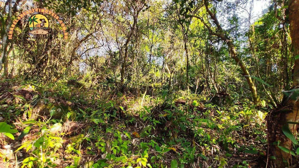 Terreno, 3 hectares - Foto 13