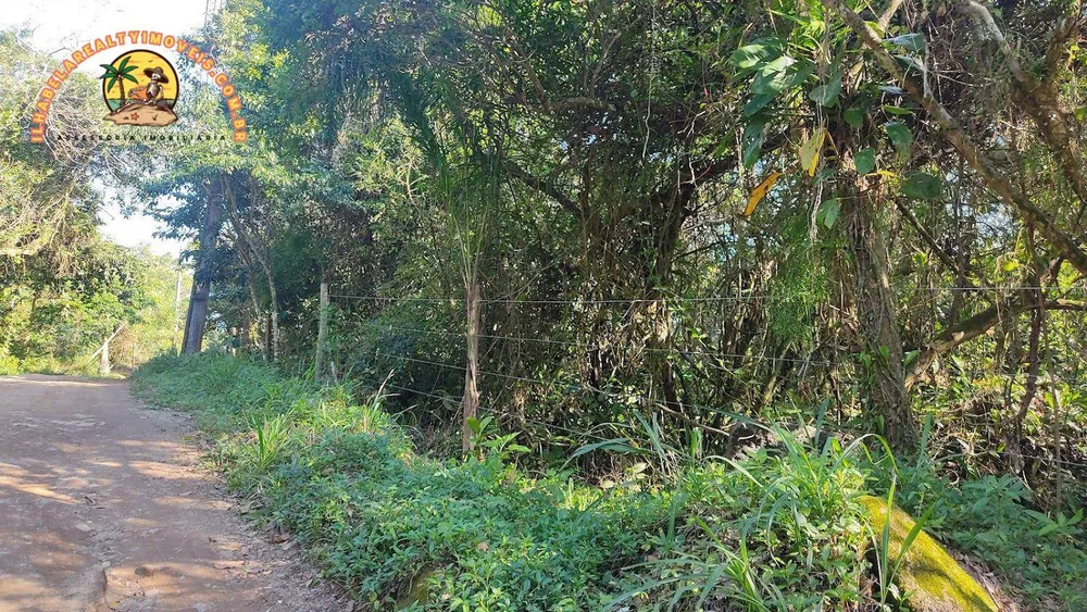 Terreno, 3 hectares - Foto 3