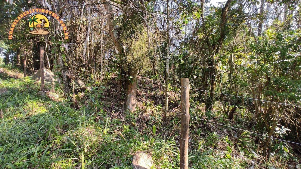 Terreno, 3 hectares - Foto 11