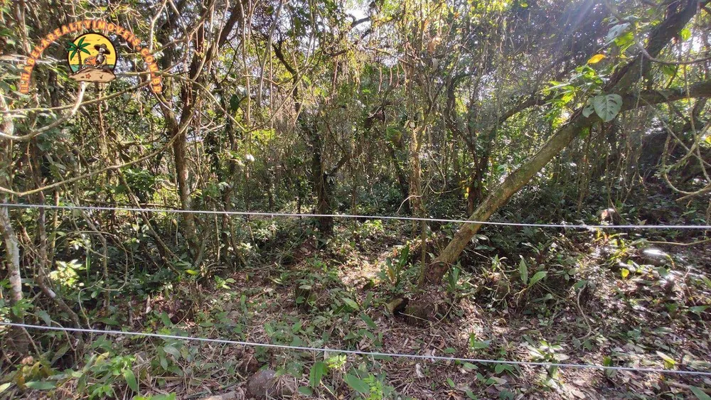 Terreno, 3 hectares - Foto 8