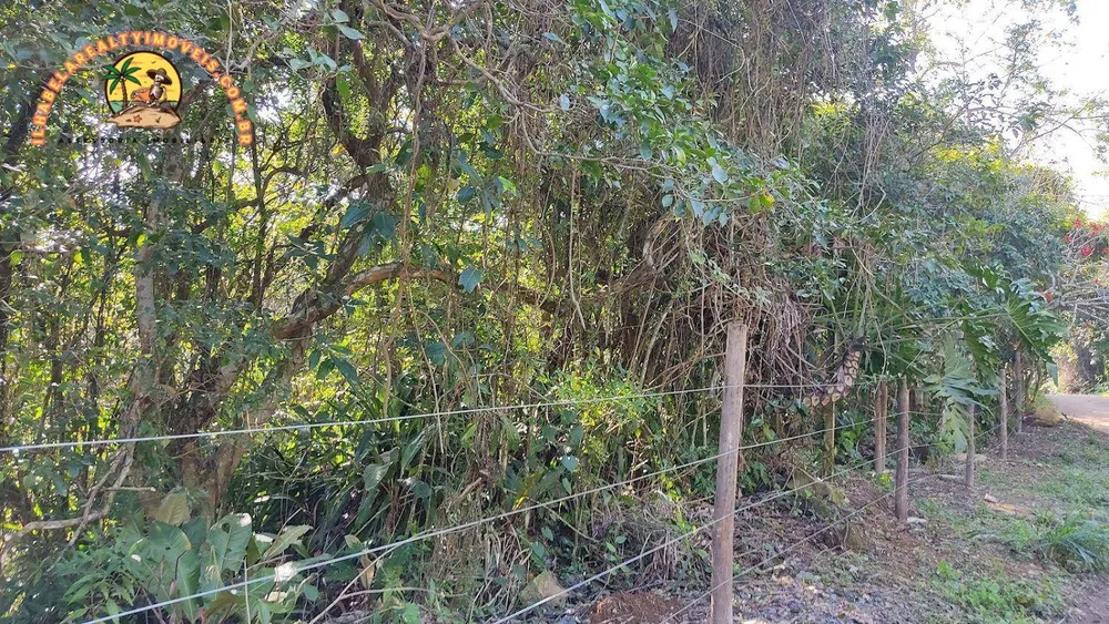 Terreno, 3 hectares - Foto 4