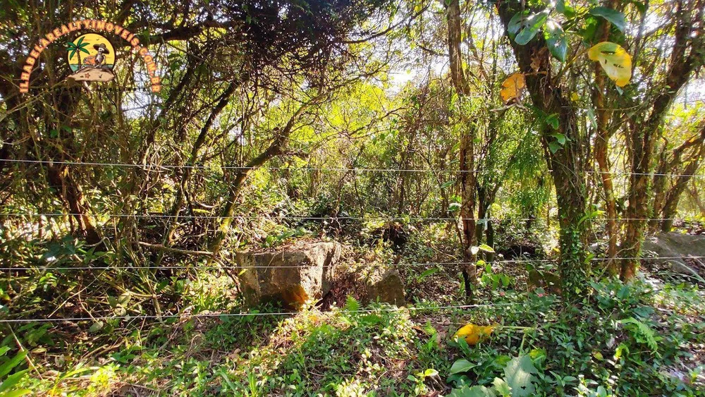 Terreno, 3 hectares - Foto 10