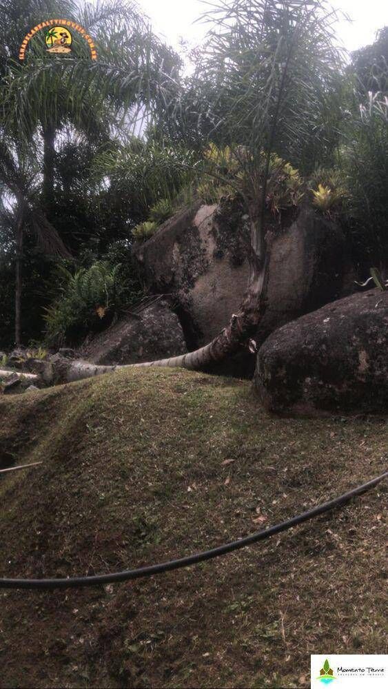 Terreno, 4 hectares - Foto 1