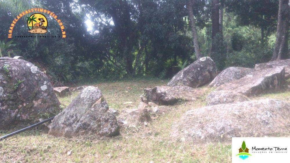 Terreno, 4 hectares - Foto 2