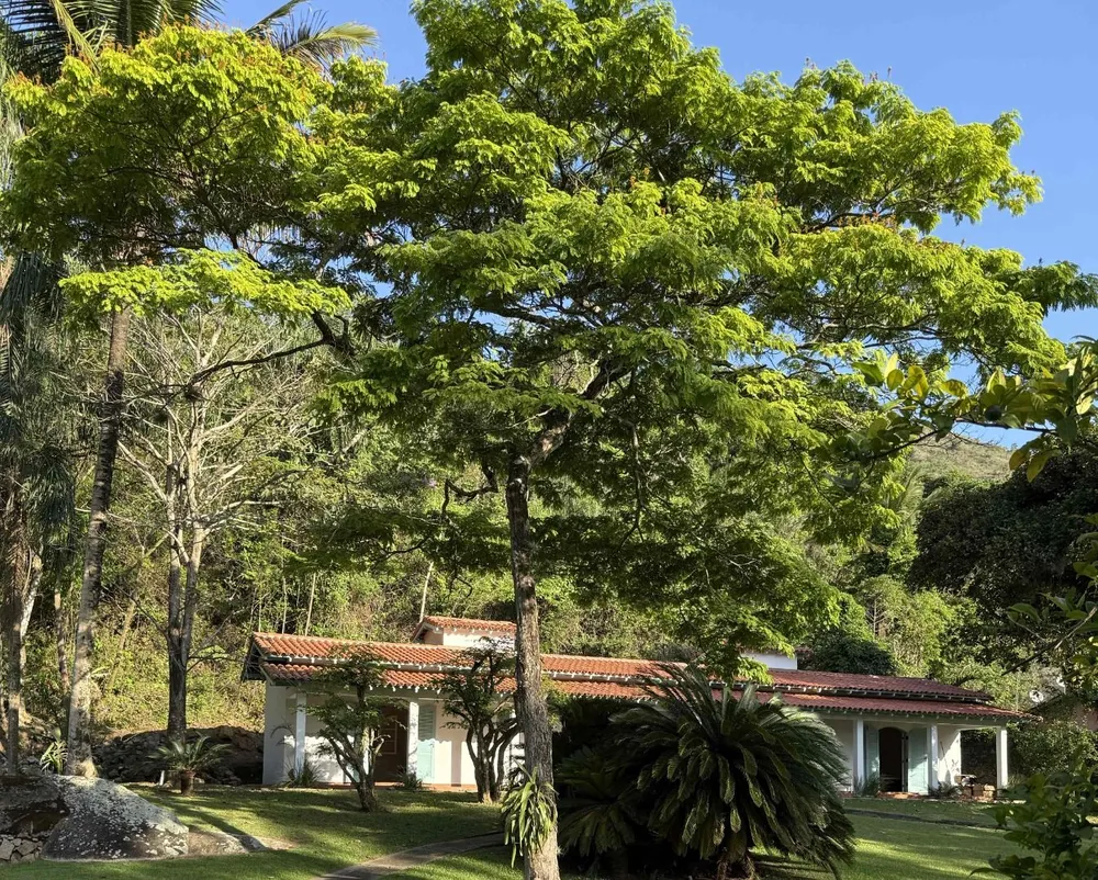 Casa, 11 quartos, 914 m² - Foto 5
