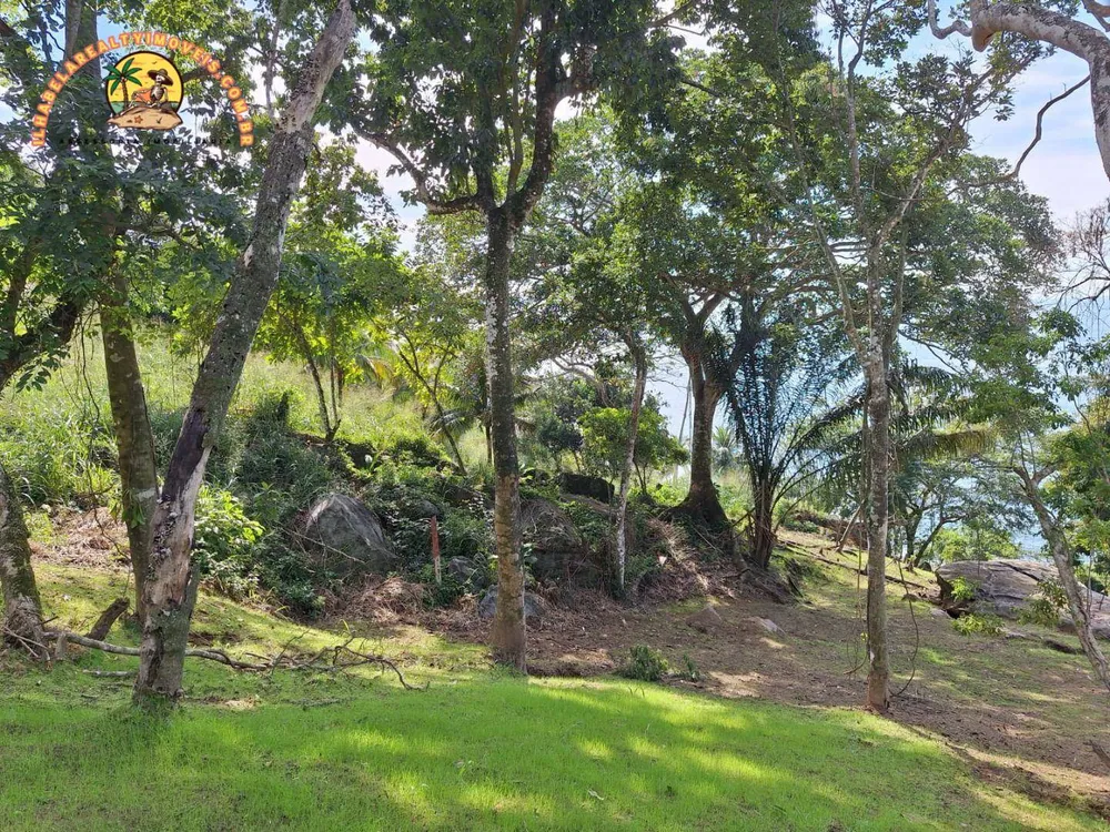 Terreno, 7 hectares - Foto 7