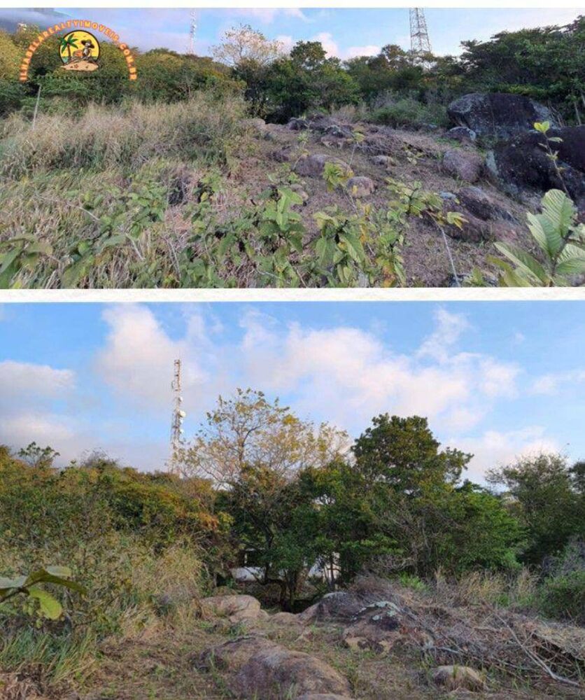 Terreno, 5 hectares - Foto 7