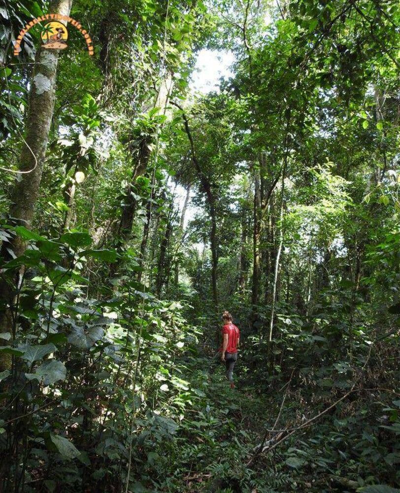 Terreno, 5 hectares - Foto 8