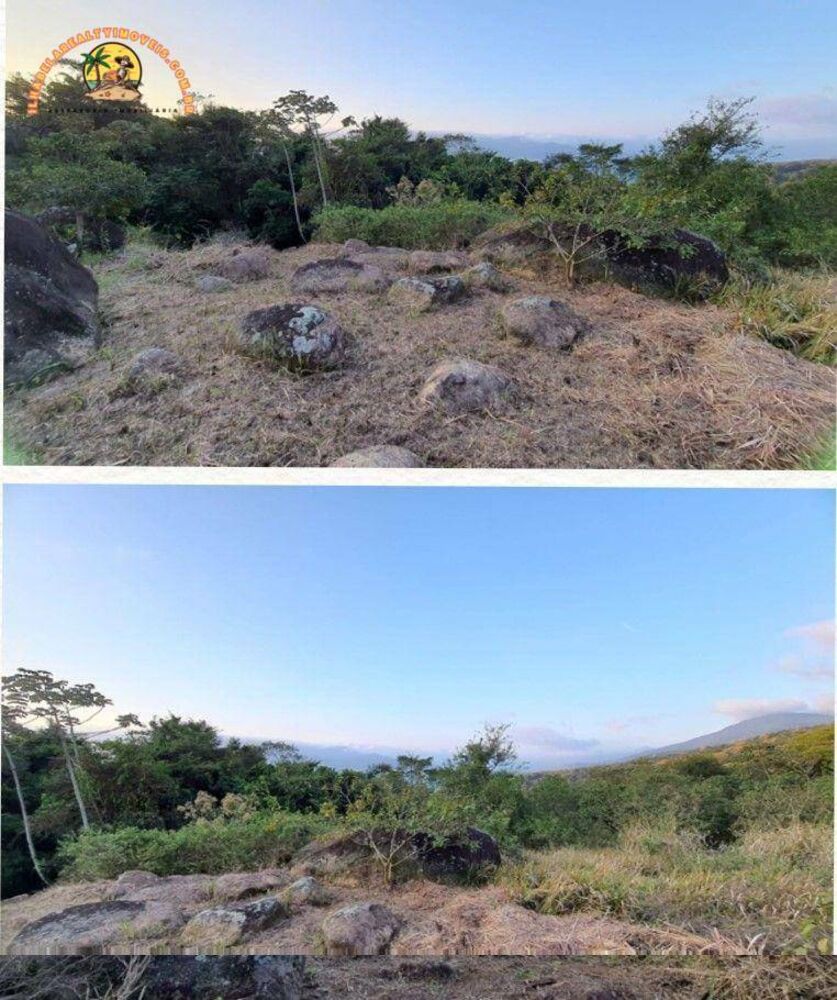 Terreno, 5 hectares - Foto 6