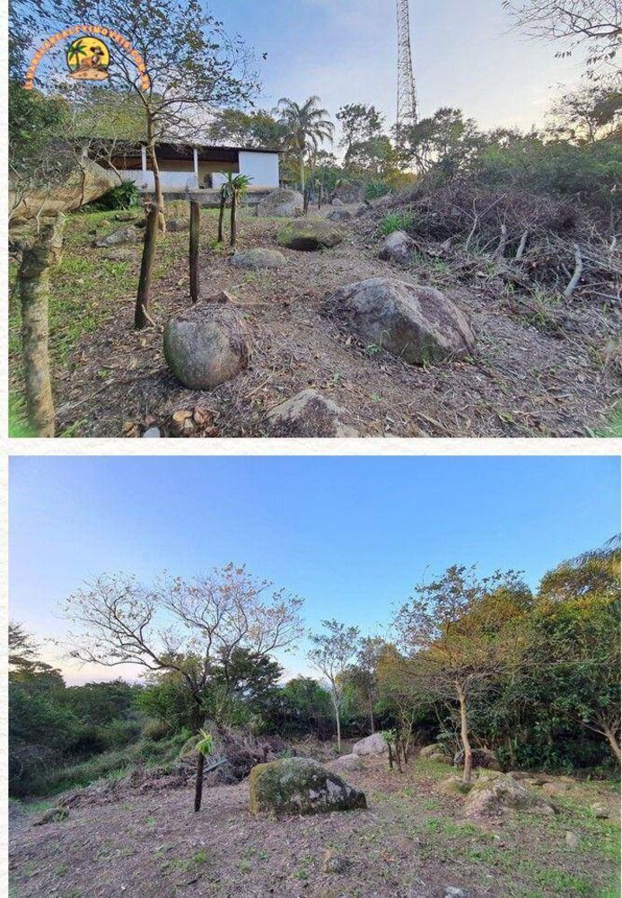 Terreno, 5 hectares - Foto 4