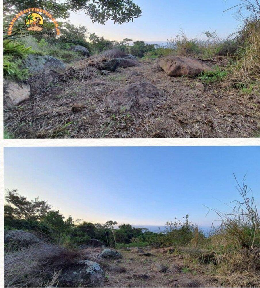 Terreno, 5 hectares - Foto 5