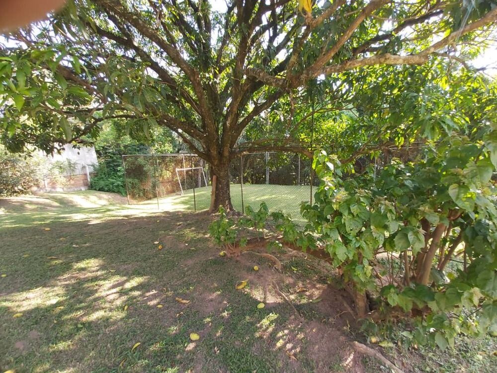 Chácara, 3 quartos, 5100 m² - Foto 6