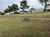 Loteamento e Condomínio, 810 m² - Foto 2