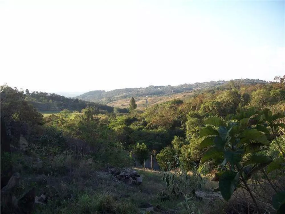 Terreno à venda, 3100M2 - Foto 4