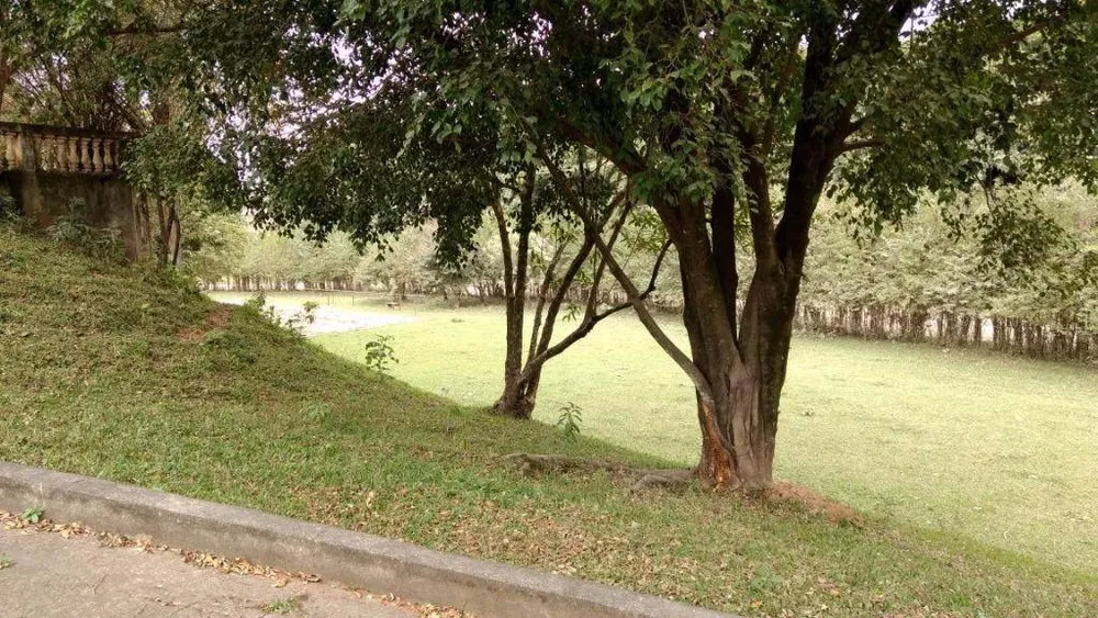 Chácara, 7 quartos, 2 hectares - Foto 8
