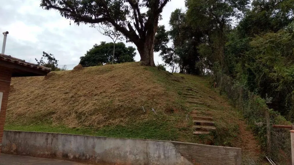Chácara, 7 quartos, 2 hectares - Foto 9
