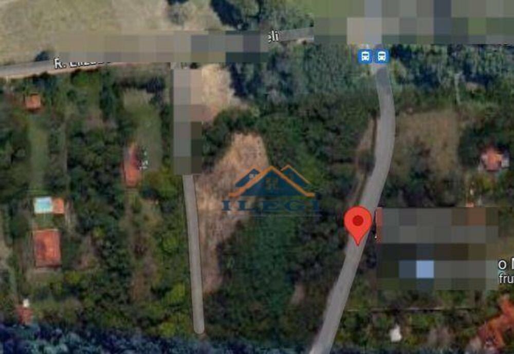 Terreno, 3 hectares - Foto 4