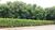 Terreno, 3 hectares - Foto 2