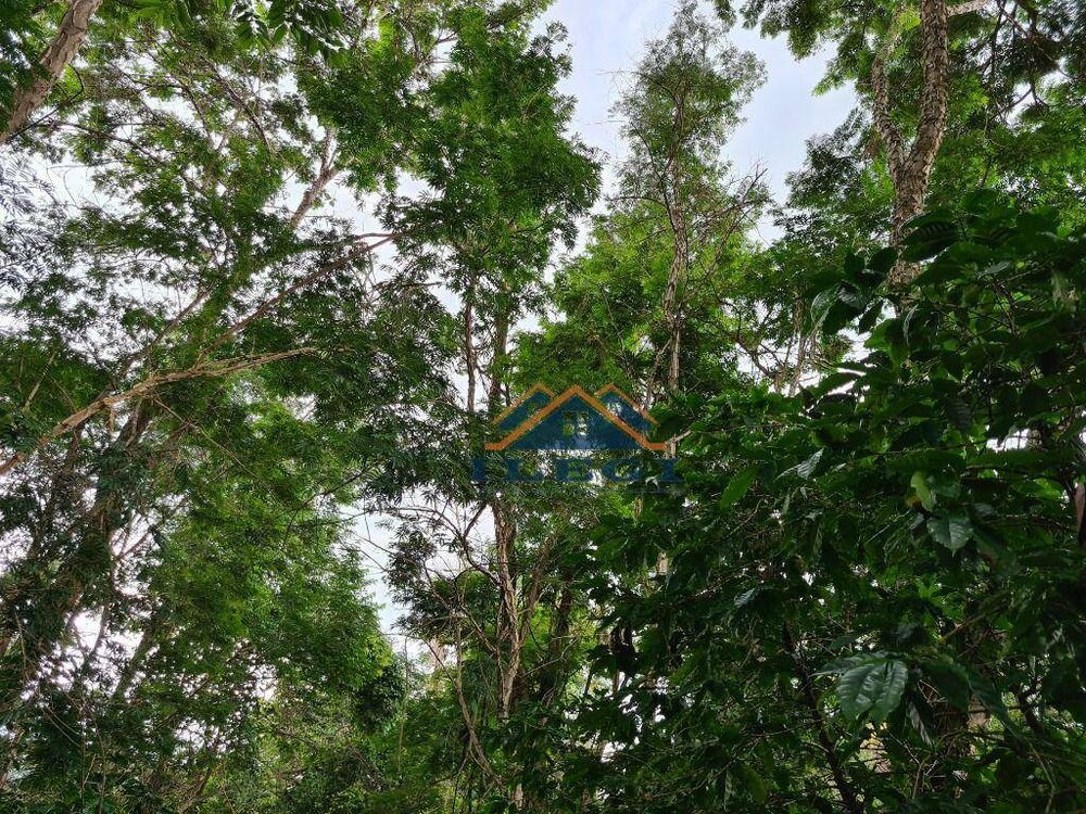 Terreno, 1025 m² - Foto 3