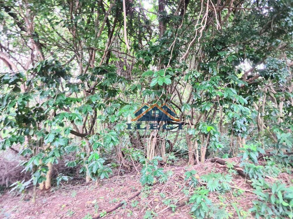 Terreno, 1025 m² - Foto 4