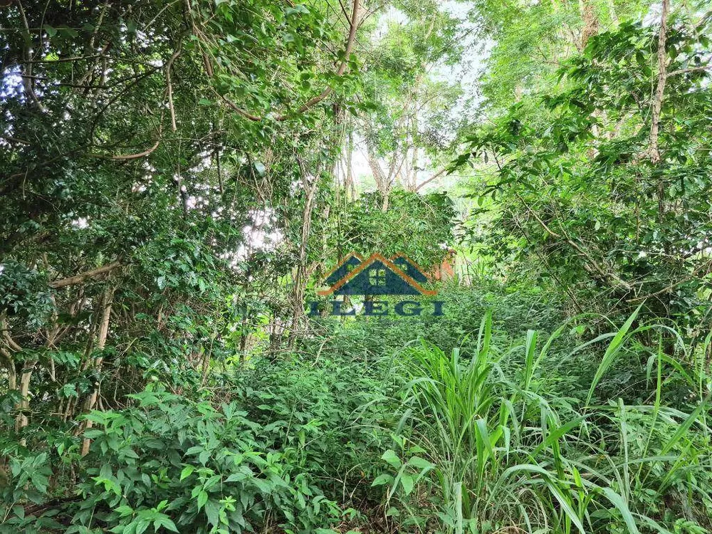 Terreno, 1025 m² - Foto 6