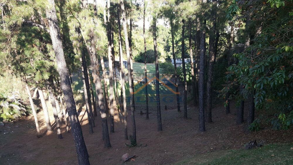 Chácara, 4 quartos, 6400 m² - Foto 9