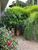 Sala-Conjunto, 12 m² - Foto 4