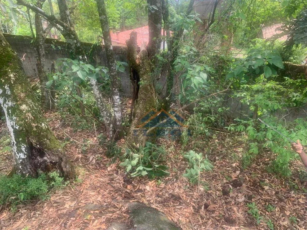 Terreno, 14 hectares - Foto 11