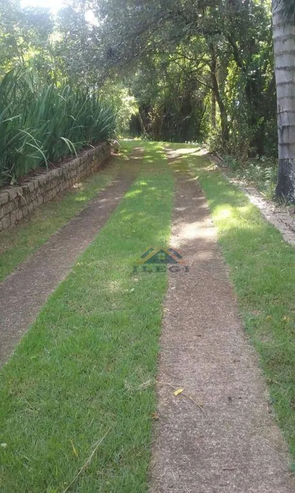 Sítio, 7 quartos, 2 hectares - Foto 11