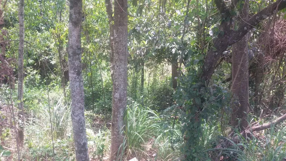 Loteamento e Condomínio à venda, 2700M2 - Foto 1